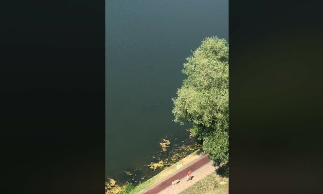 У Києві зняли рибу людського зросту: "Ось чому тонуть люди в цьому озері"