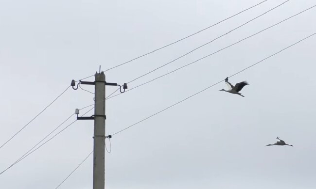 Графики отключения света в Полтавской области на 29 апреля