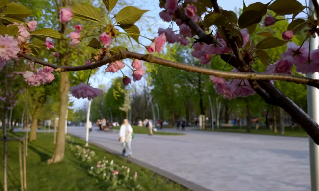 Прогноз погоды на неделю с 20 по 26 апреля в Днепре: