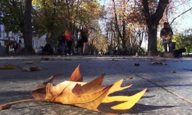 В Одесі прийшов травень в середині осені, кадри аномалії