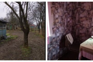Дом с большим садом продают в Украине за 20 тыс. гривен: как он выглядит и что в нем есть