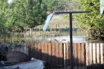 На Одесчине затопило жилые дома: кадры с места ЧП и подробности от спасателей