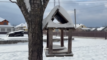 Прогноз погоды на февраль в Запорожье.