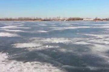 Под Киевом спасатели кинулись на помощь лебедям-заложникам: "примерзли ко льду"