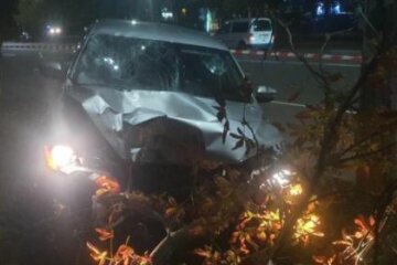 "Женщину авто сбило дважды": пьяный коп снес маму и дочку под Киевом, очевидцы раскрыли подробности