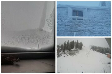 Сніг обрушився на українську землю, видимість впала до 40 метрів: чарівні фото