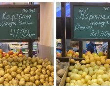 "Невже це вигідніше?": українцям продають свою картоплю в два рази дорожче імпортної, фото