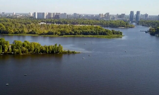 "Коктейль из всей таблицы Менделеева":  существа заполонили реку Днепр