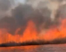 Масштабна пожежа розгорілася під Києвом, небо застелив чорний дим: кадри вогняної НП