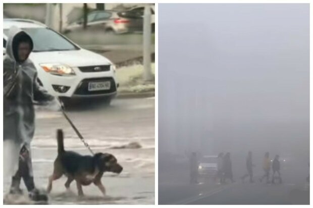 ����: politeka.net