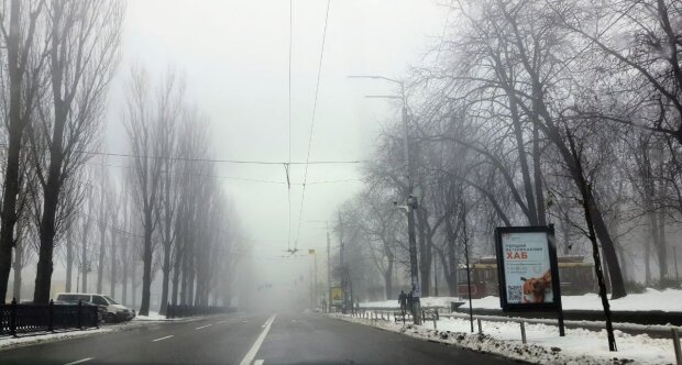 ����: politeka.net