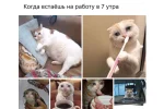 Без имени-1