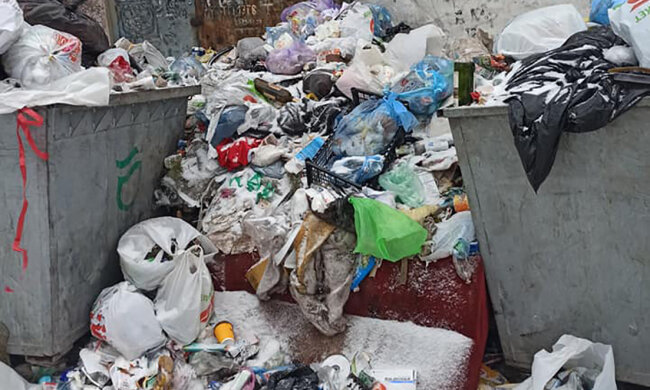 Вулиці Дніпра потопають у смітті, комунальники не працюють: гнітючі кадри