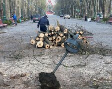 У Харкові почали прибирати парк Горького: як виглядає перлина міста після обстрілів