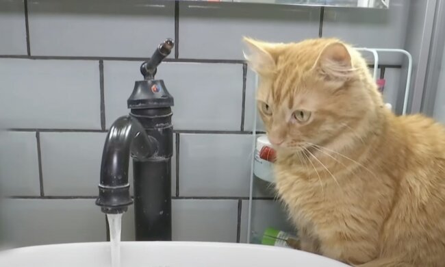 Відключення води в Одесі 8 травня