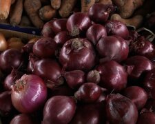 Дефіцит овочів у Вінницькій області