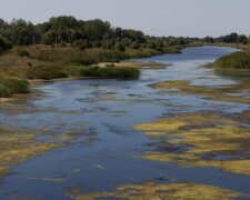 Чистейшая река Европы на грани исчезновения: днепряне приложили руку, печальные кадры