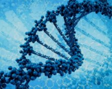Гени та геном людини