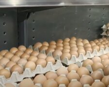Подорожание яиц в Харьковской области