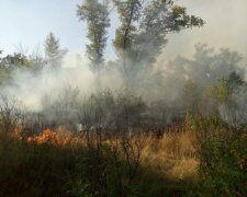 Масштабный огонь разгорелся на Трухановом острове, съехались спасатели: кадры ЧП