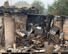 Пожары на Луганщине помогают ликвидировать волонтеры Нацкорпуса - Билецкий