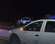"Выбежала навстречу": авария на Одесчине унесла жизнь водителя и животного, кадры трагедии