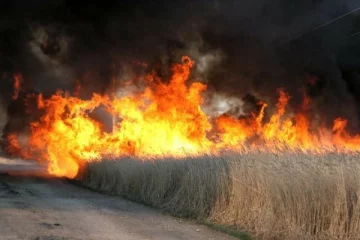 56563167_1002815780106945_3616581218801287168_n-640×427