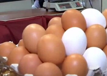 яйца, продукты, базар