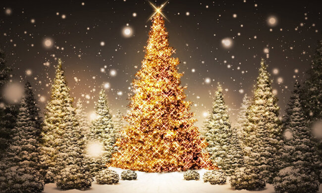 3ab55396e813b73474c80475b85d4d10