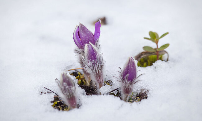 погода в Украине