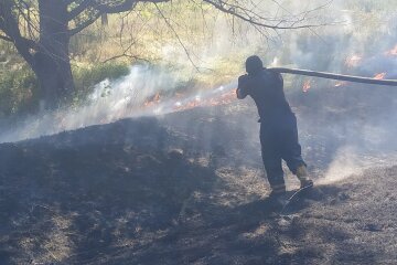 Масштабный огонь охватил гектары в Киеве: видео происшествия