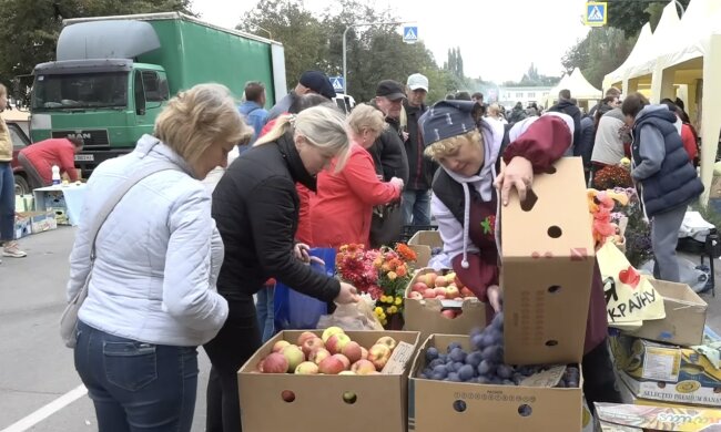 Дефіцит фруктів на Вінниччині