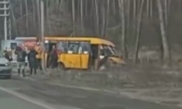 Маршрутка с пассажирами слетела с дороги под Киевом, видео: съехалась скорая и полиция