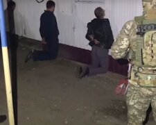 Банда иностранцев устроила набег на Одесчине, фото: "орудуют не в одной области"