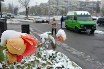 погода снег осень