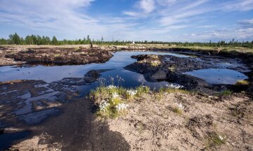 Дірявими нафтопроводами Росія вбиває природу півночі (фото)