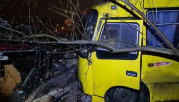 У Києві п'яний водій "Богдана" збив велосипедиста: кадри наслідків ДТП