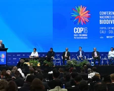 COP 17 у Єревані: чи може країна з екологічними кризами бути майданчиком довіри?