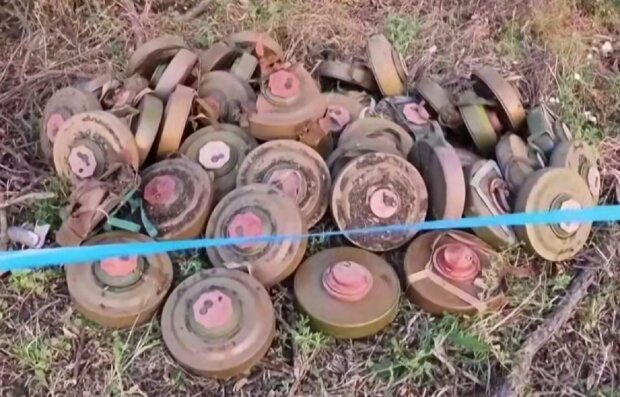 ����: politeka.net