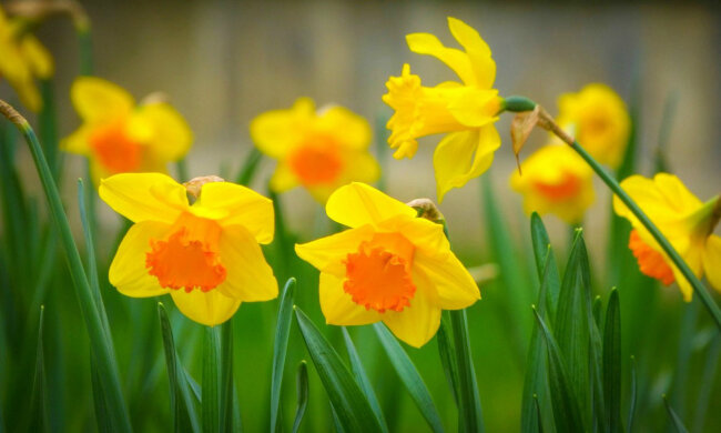 Погода в Украине 30 марта