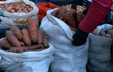 Дефицит продуктов в Днепропетровской области