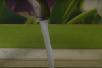 Отключение воды в Одессе 8 мая