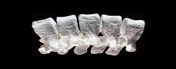 Ученые научились печатать на 3D-принтере кости (фото, видео)