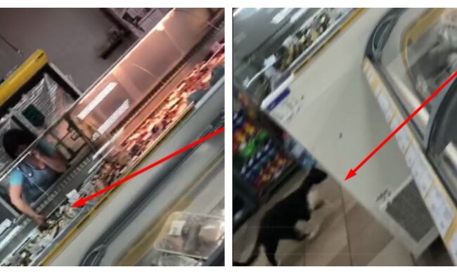 У харківському магазині чіпають рибу брудними руками, поруч бігає кіт: кадри свавілля