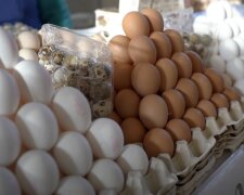 Подорожчання продуктів у Дніпропетровській області