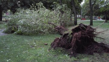 Страшные последствия урагана в Харькове (фото, видео)