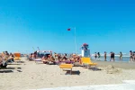 В разгар курортного сезона на пляжах под Одессой начались рейды: в чем причина