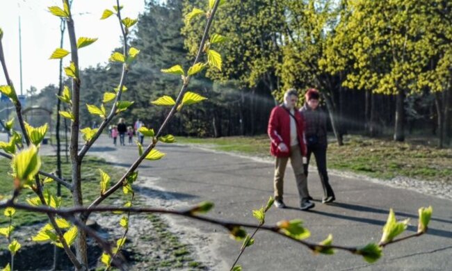 Три знаки Зодіаку почнуть нове життя вже в травні: кого чекають великі зміни