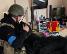 ВСУ спасли добродушную собаку, которую хозяева оставили в доме: "С такими воинами победа будет за нами!"