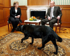 Меркель, Путин, собака Кони